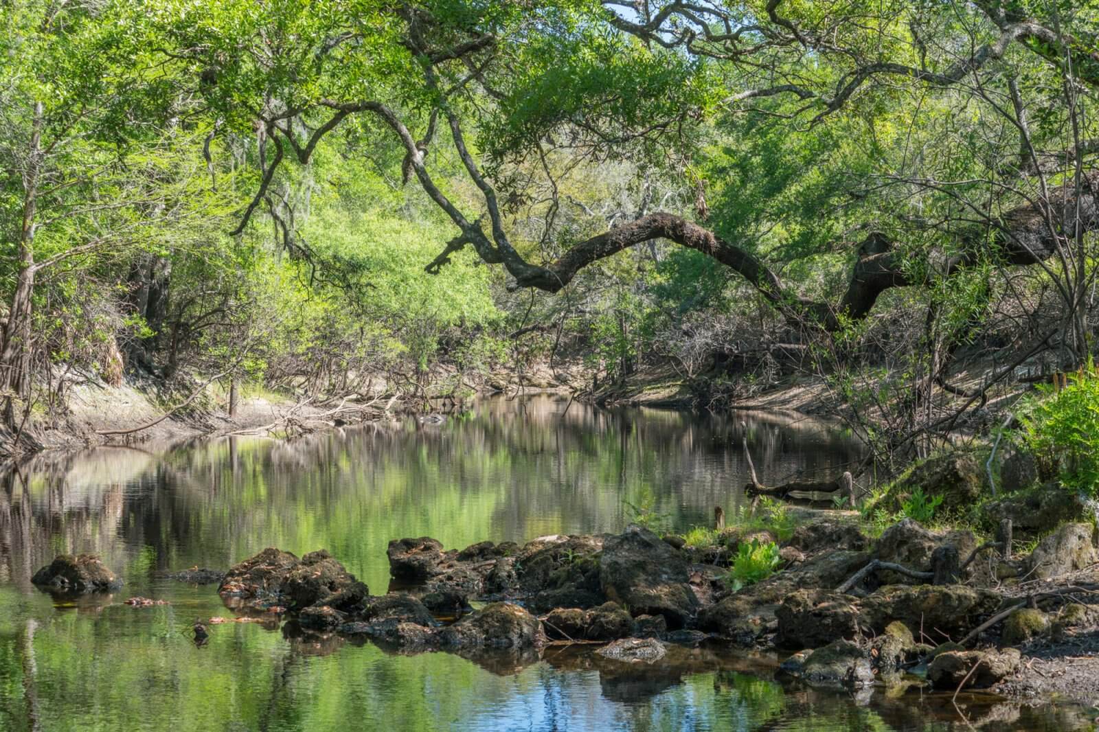 Lake Alfred, FL
